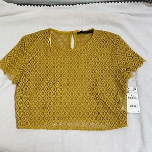 NWT Zara Lace Crop Top sz M